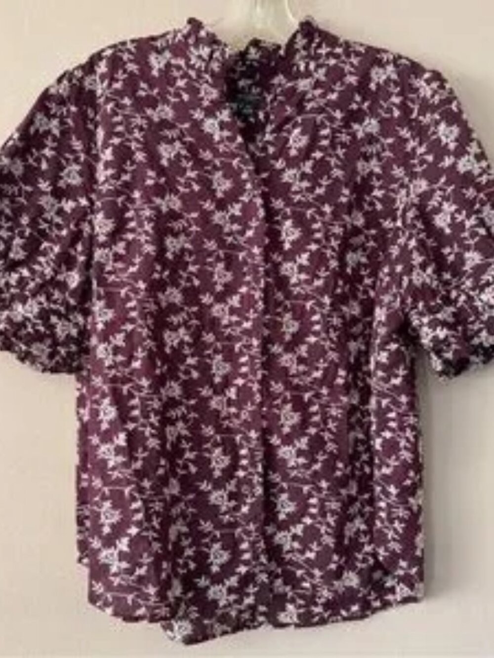 Ann Taylor Embroidered Ruffled Blouse Short Sleeve Size PXL